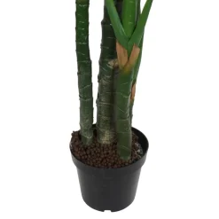 Bowa Plante faux philodendron
