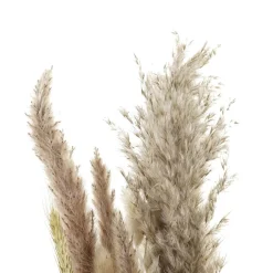 Branche De fleurs séchées