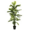 Coly Plant areca palm tree green "pvc"