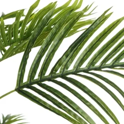 Coly Plant areca palm tree green "pvc"
