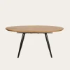Didier Mesa de comedor extensible ovalada 160/200 de madera y metal