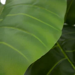 Pana Plante artificielle