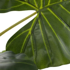 Pana Plante artificielle