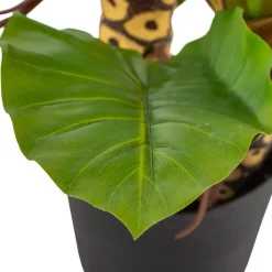 Pana Plante artificielle