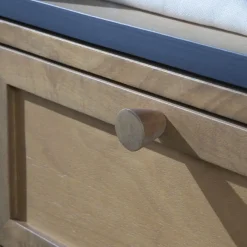 Parma Table de chevet en bois massif de manguier et métal