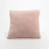 Très Coussin rose vieilli